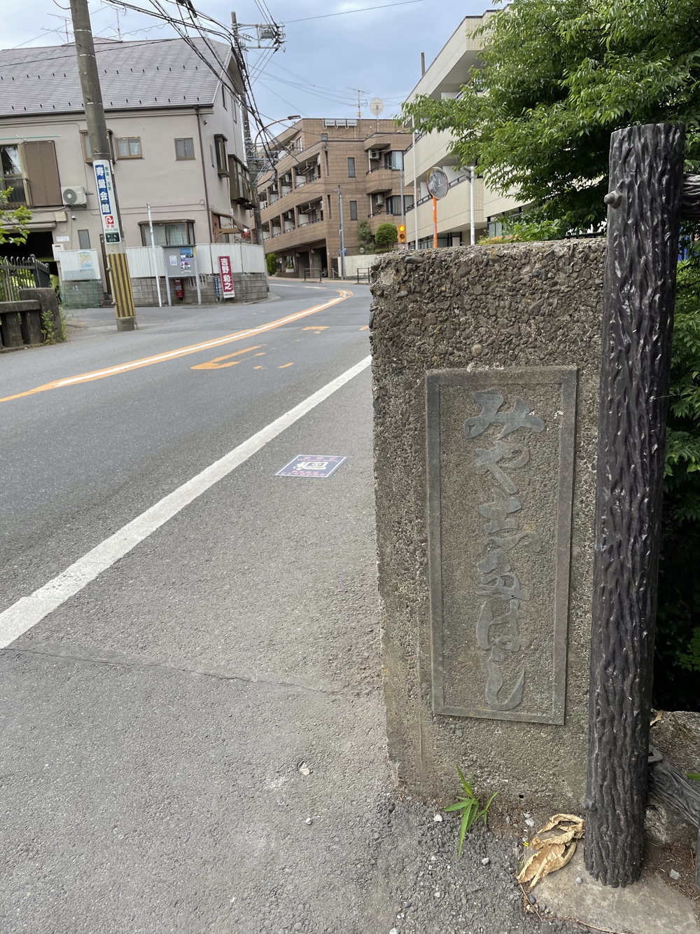 玉川上水から井の頭公園へ、神田川に架かる橋を全て渡るランの写真6