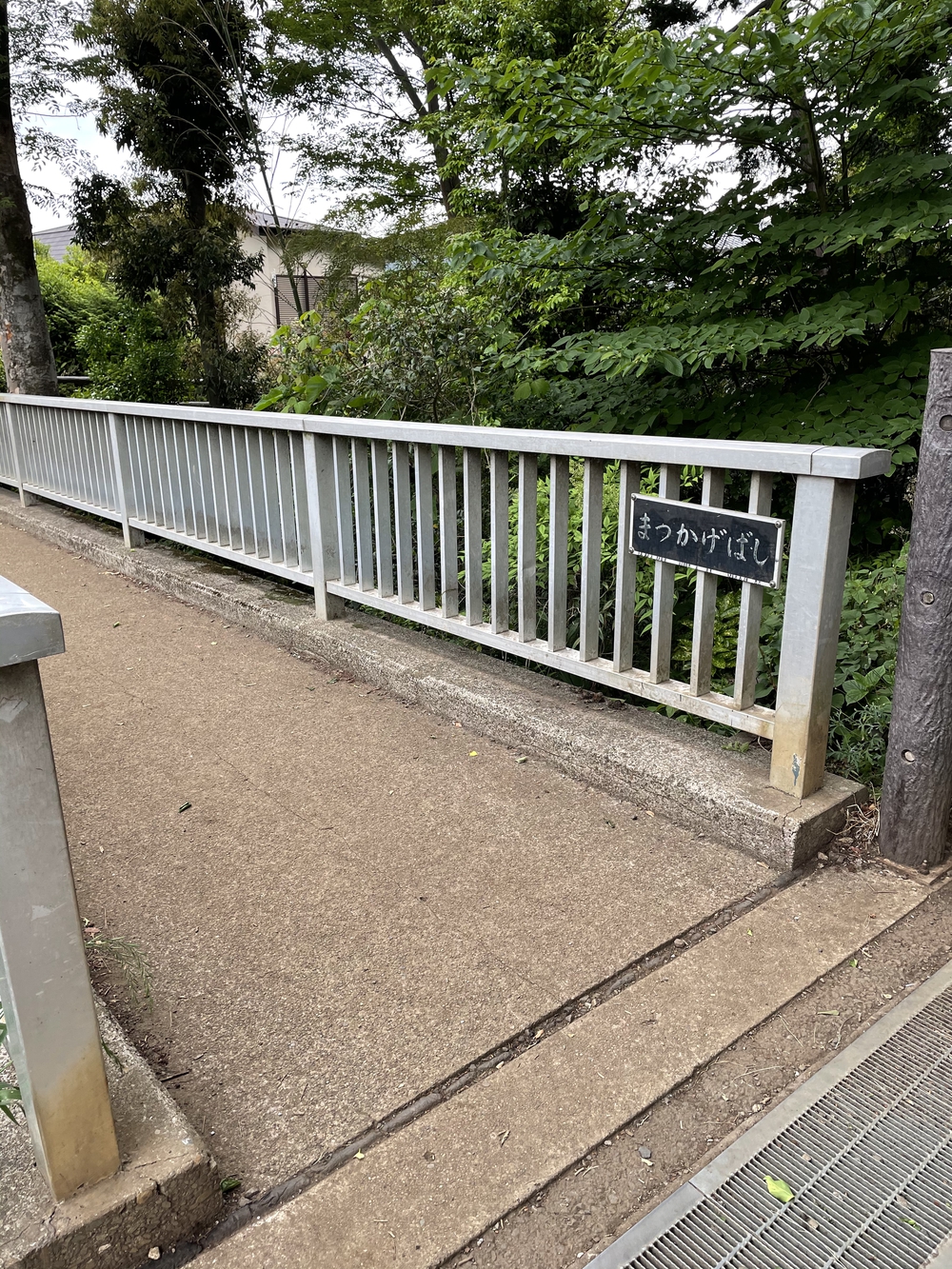 玉川上水から井の頭公園へ、神田川に架かる橋を全て渡るランの写真9