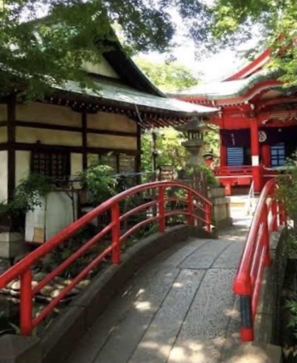 玉川上水から井の頭公園へ、神田川に架かる橋を全て渡るランの写真16