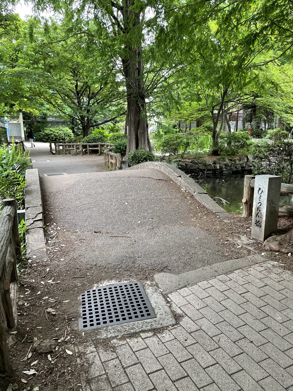 玉川上水から井の頭公園へ、神田川に架かる橋を全て渡るランの写真20