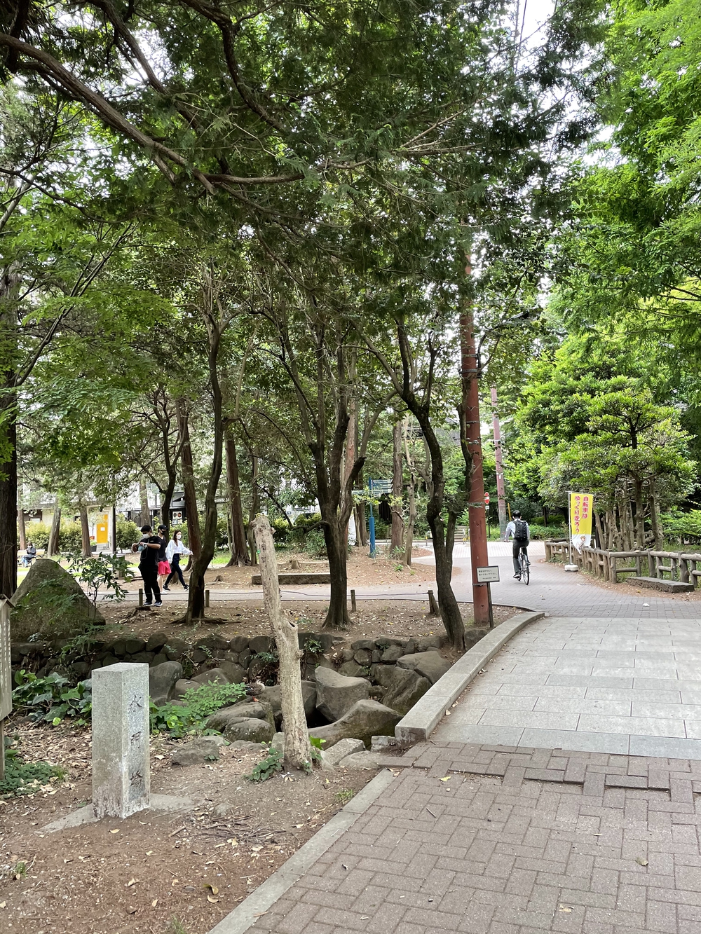 玉川上水から井の頭公園へ、神田川に架かる橋を全て渡るランの写真21