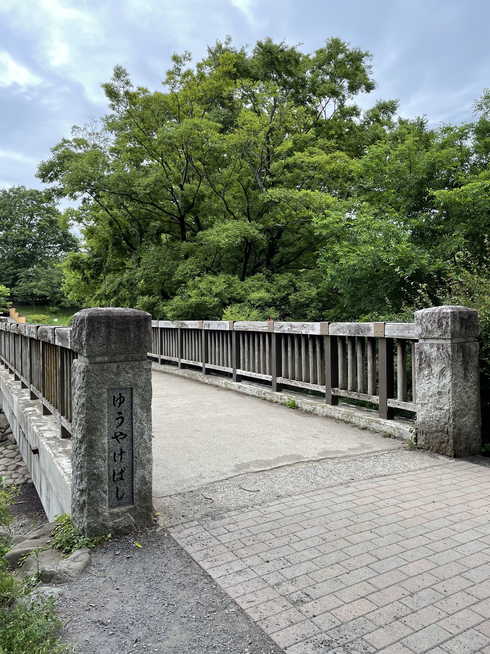 玉川上水から井の頭公園へ、神田川に架かる橋を全て渡るランの写真23
