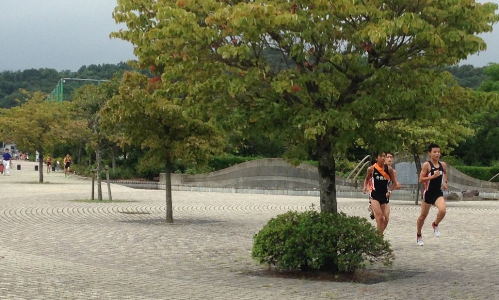 ３種の路面から選べるコース【1.5km】の写真3