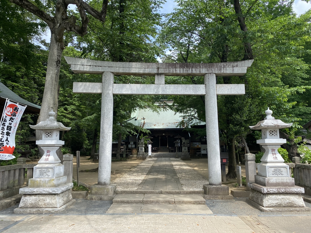 日光道中（街道）旅ラン　第四日目（古河宿〜小金井宿）の写真3