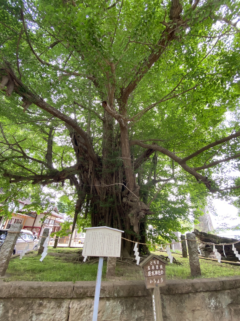 日光道中（街道）旅ラン　第四日目（古河宿〜小金井宿）の写真4