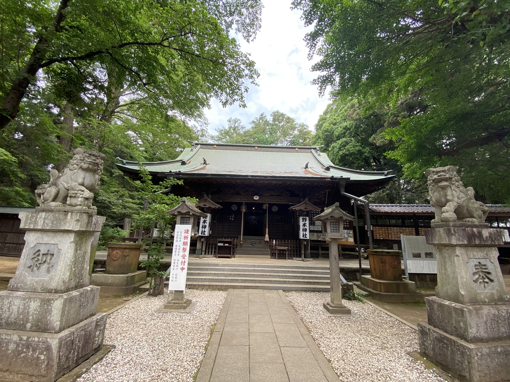 日光道中（街道）旅ラン　第四日目（古河宿〜小金井宿）の写真6