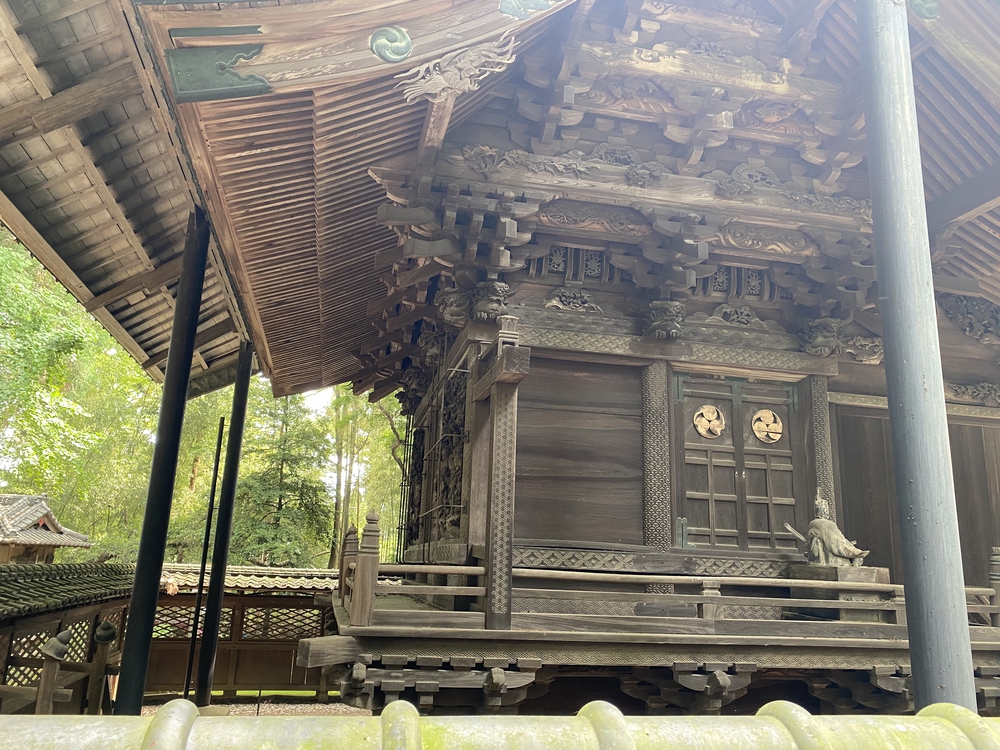 日光道中（街道）旅ラン　第四日目（古河宿〜小金井宿）の写真7