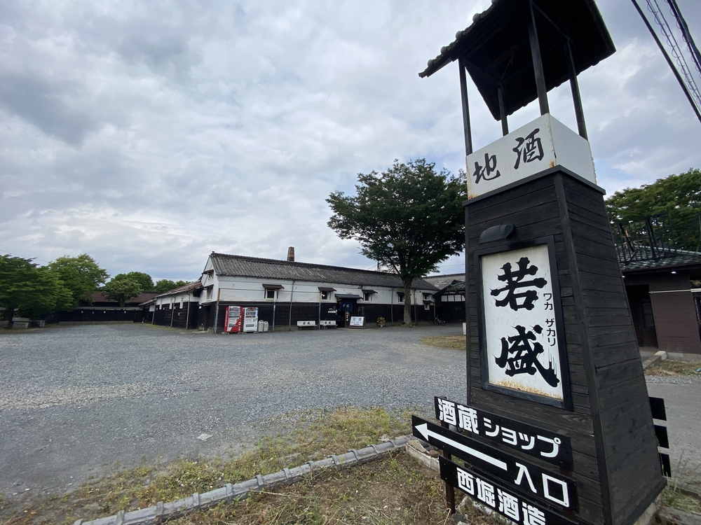 日光道中（街道）旅ラン　第四日目（古河宿〜小金井宿）の写真13