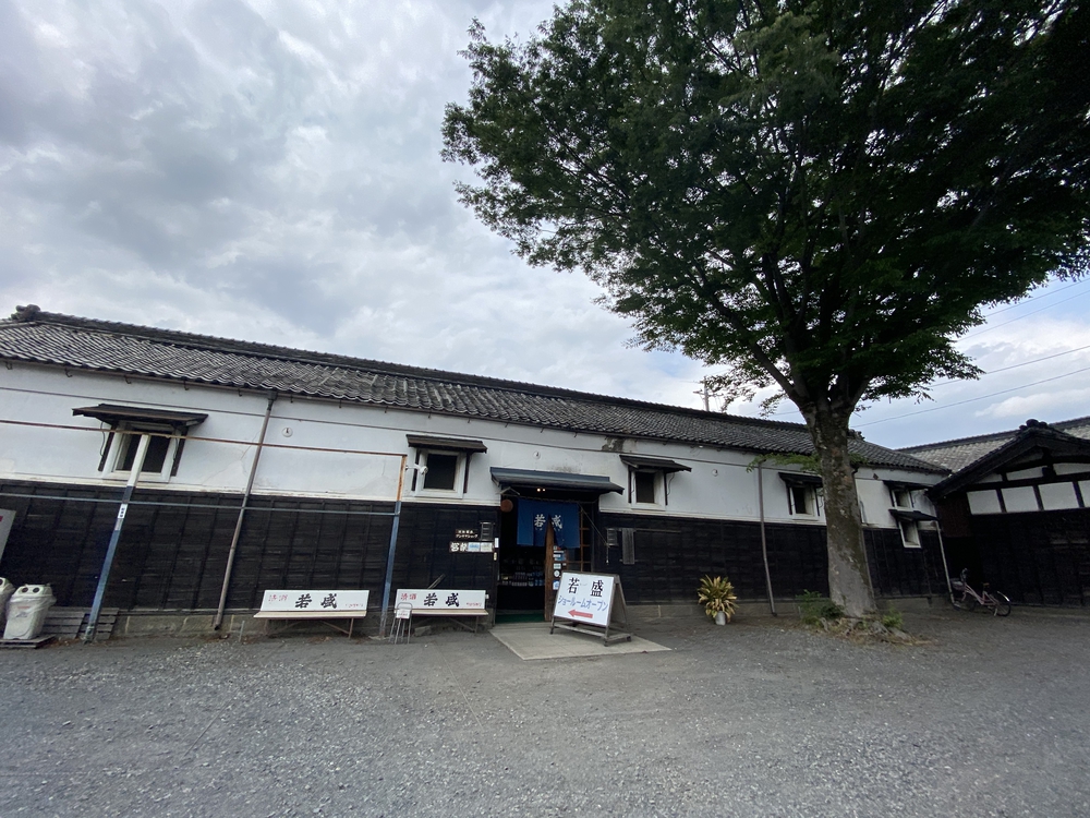 日光道中（街道）旅ラン　第四日目（古河宿〜小金井宿）の写真14
