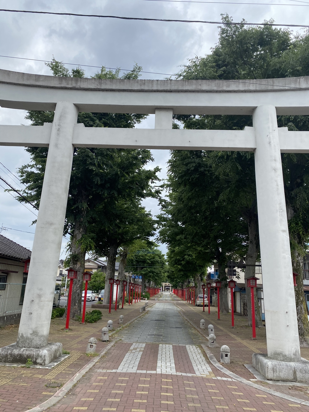 日光道中（街道）旅ラン　第四日目（古河宿〜小金井宿）の写真17