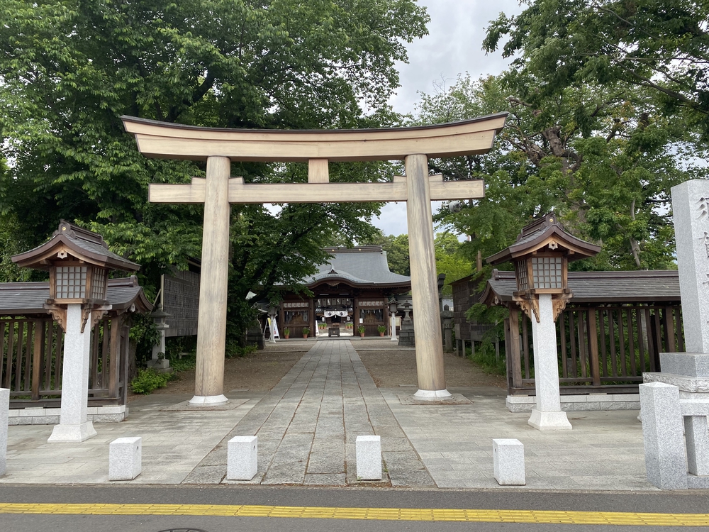 日光道中（街道）旅ラン　第四日目（古河宿〜小金井宿）の写真18