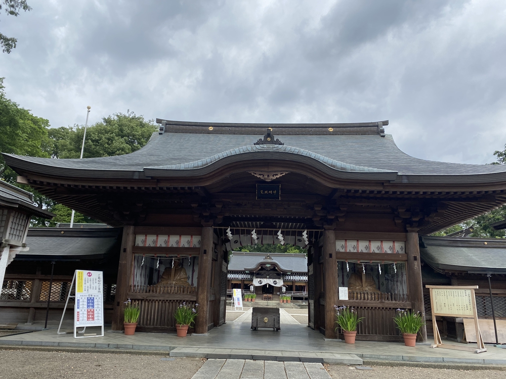 日光道中（街道）旅ラン　第四日目（古河宿〜小金井宿）の写真19