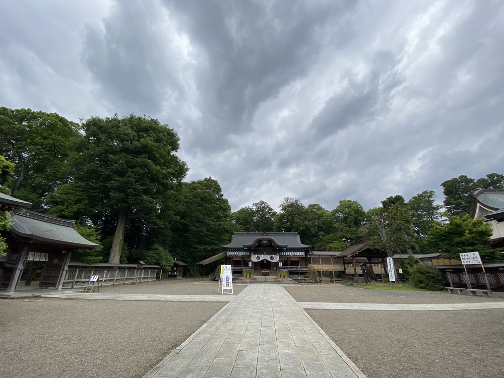 日光道中（街道）旅ラン　第四日目（古河宿〜小金井宿）の写真20