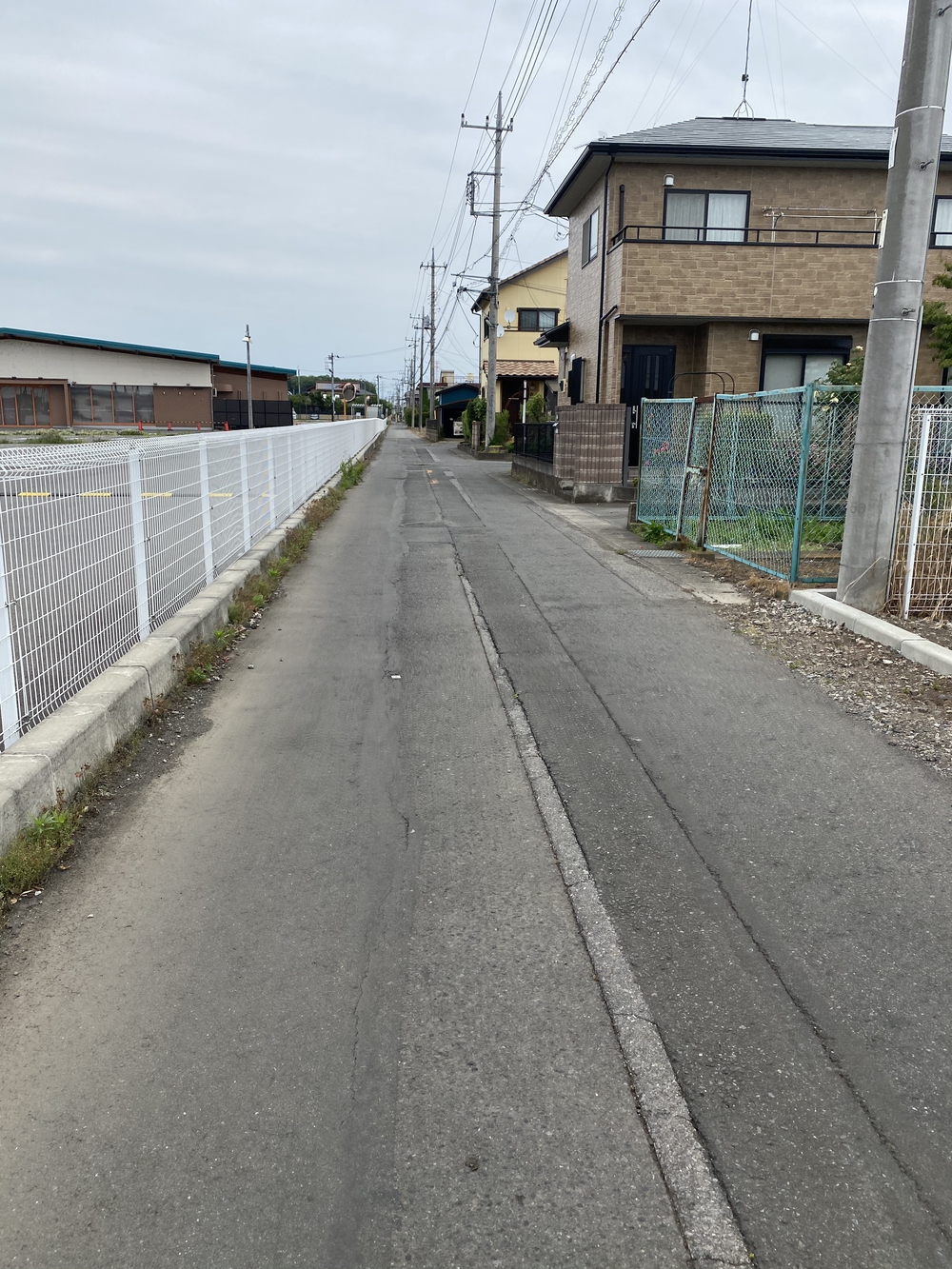 日光道中（街道）旅ラン　第四日目（古河宿〜小金井宿）の写真21