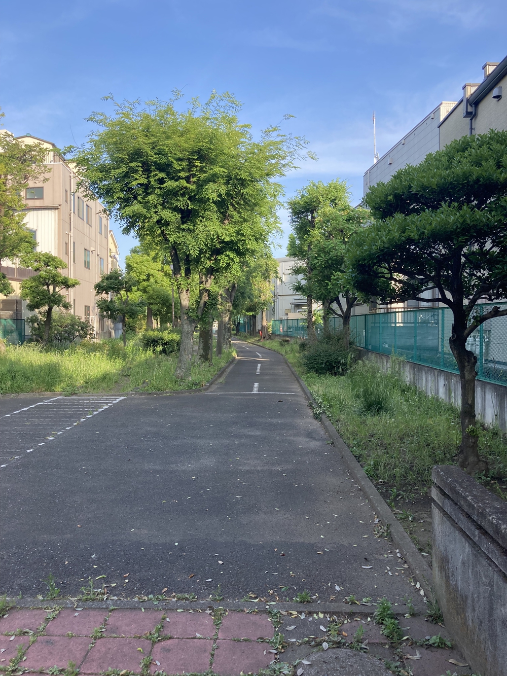 大森周回コース(5km)の写真4