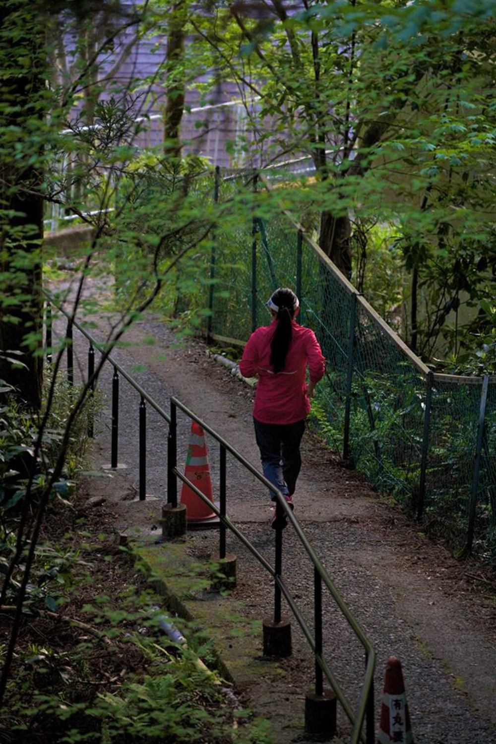 知られざる秘境。自然豊かな強羅早川堤コースの写真3