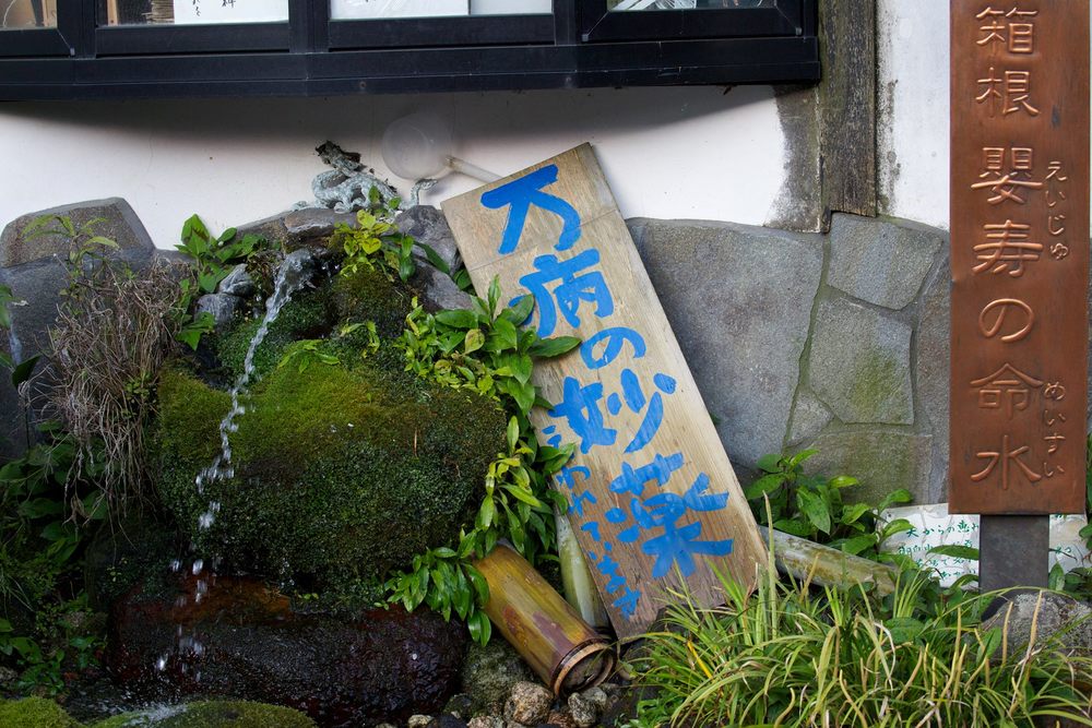 知られざる秘境。自然豊かな強羅早川堤コースの写真4