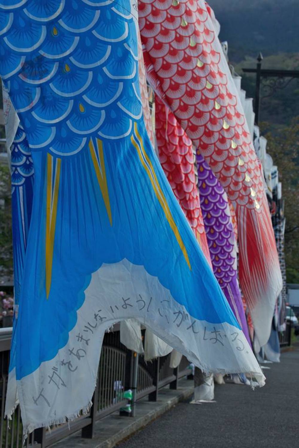 知られざる秘境。自然豊かな強羅早川堤コースの写真6