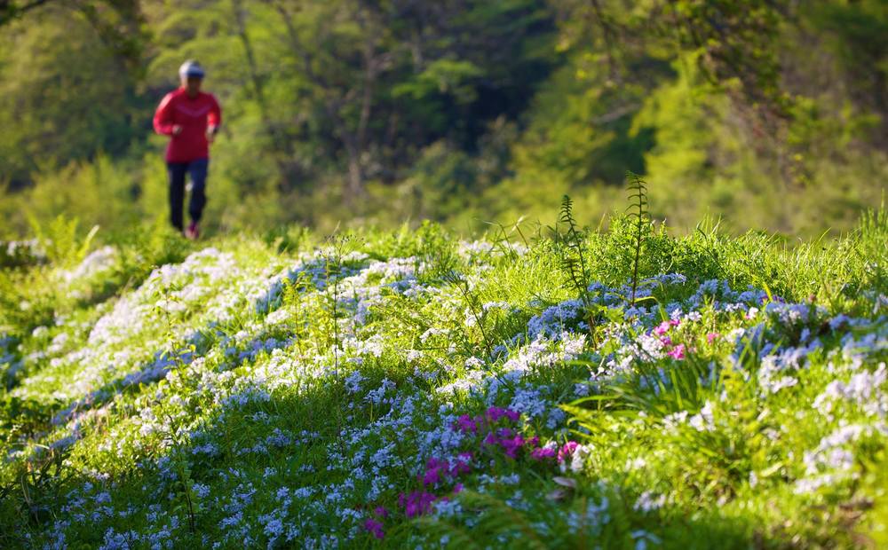 知られざる秘境。自然豊かな強羅早川堤コースの写真11