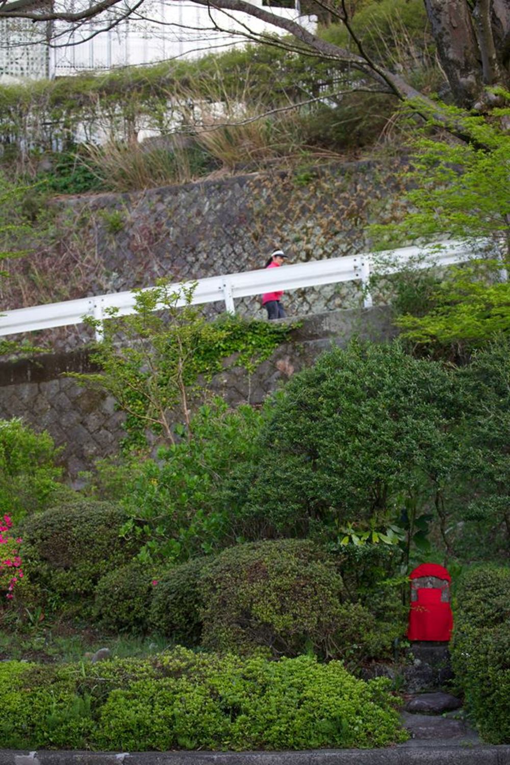知られざる秘境。自然豊かな強羅早川堤コースの写真13