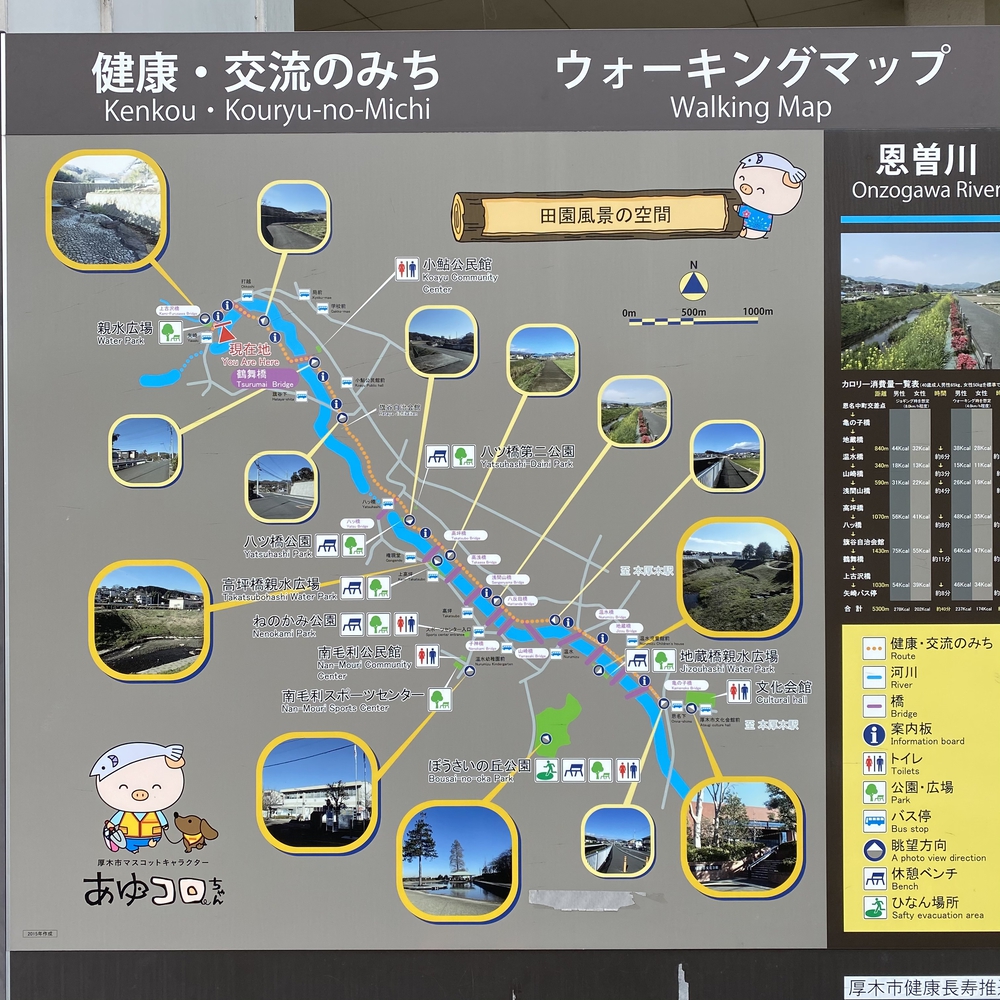 神奈川県厚木市　恩曽川ルートの写真8