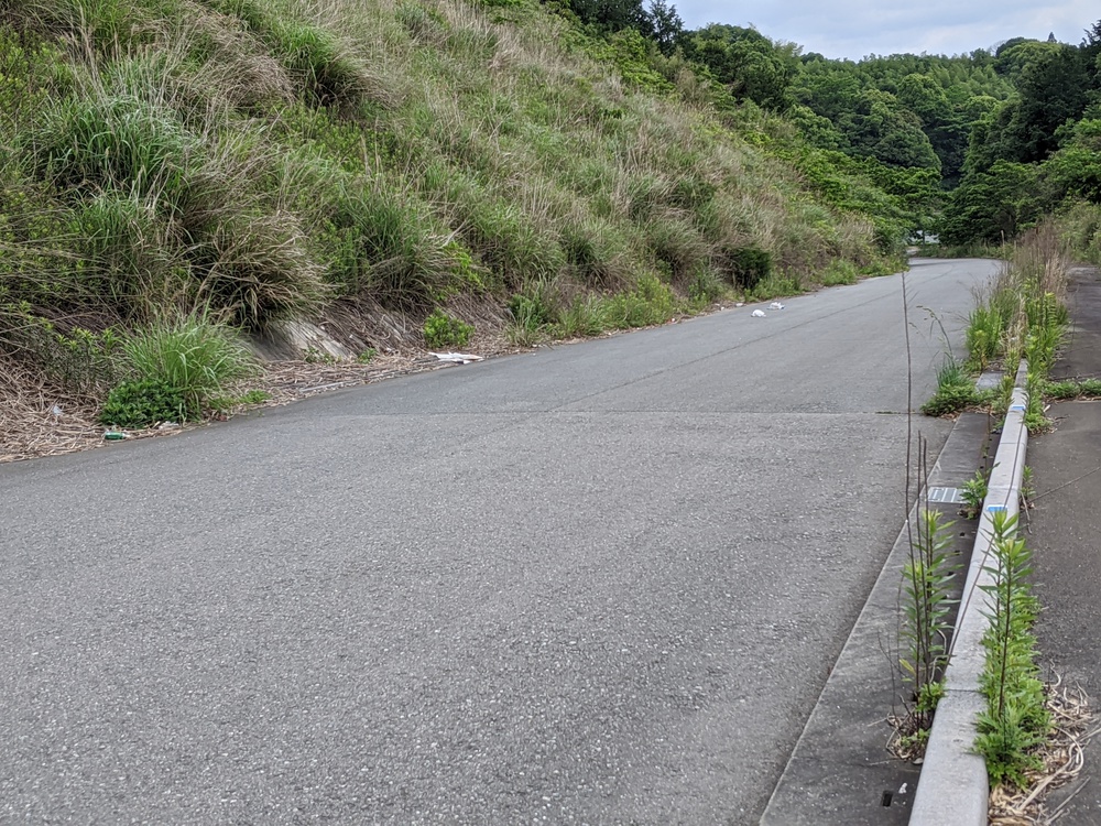 田畑と人家と…車両通行止めの?道路を行くの写真3