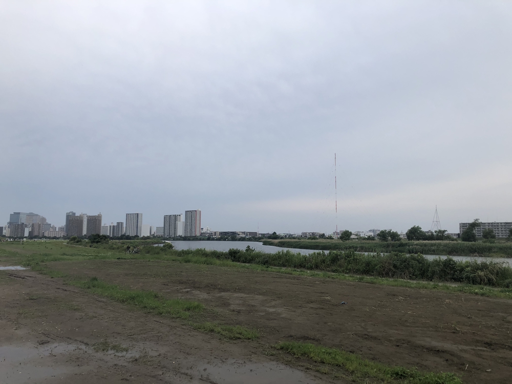 多摩川河川敷をノンビリと歩くコースです。の写真3