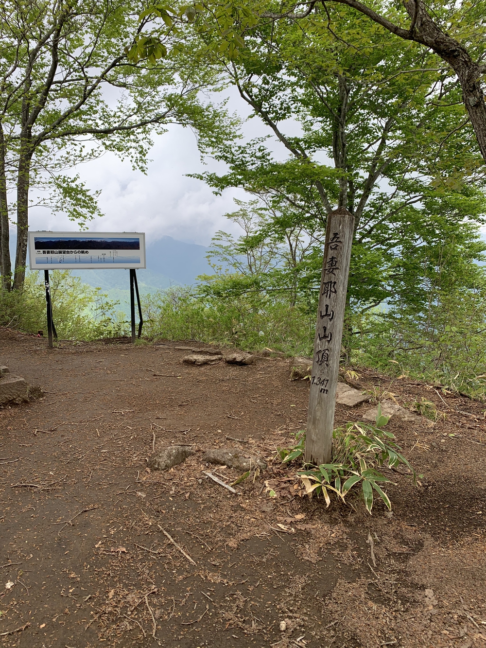 水上トレイルラン試走の写真3