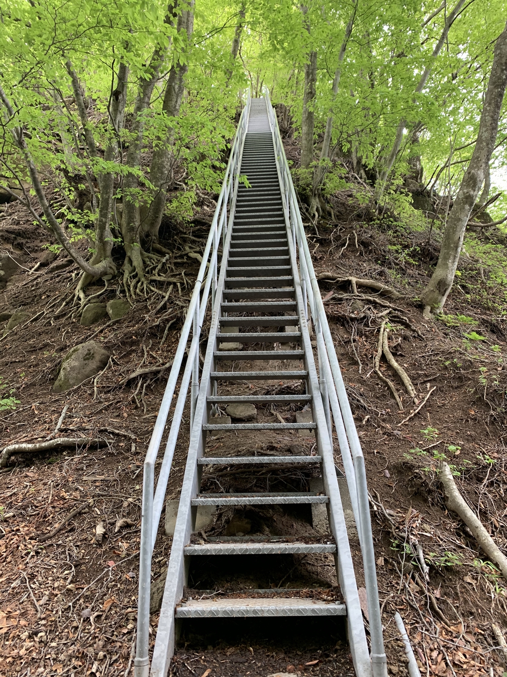 水上トレイルラン試走の写真5