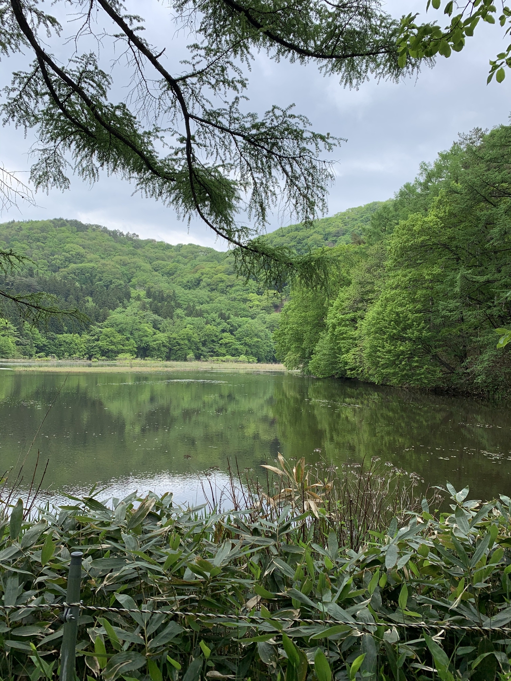 水上トレイルラン試走の写真7