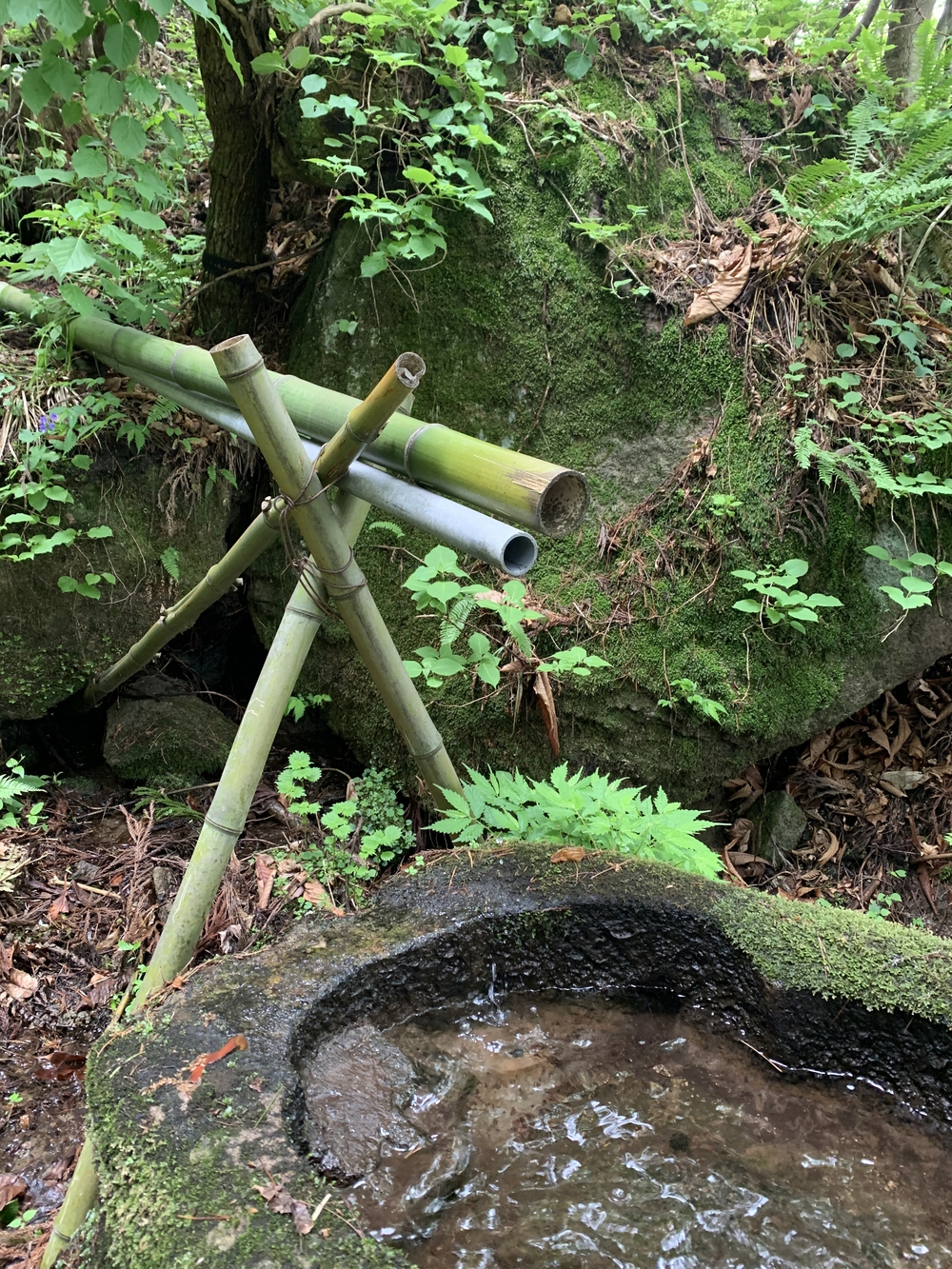 水上トレイルラン試走の写真8