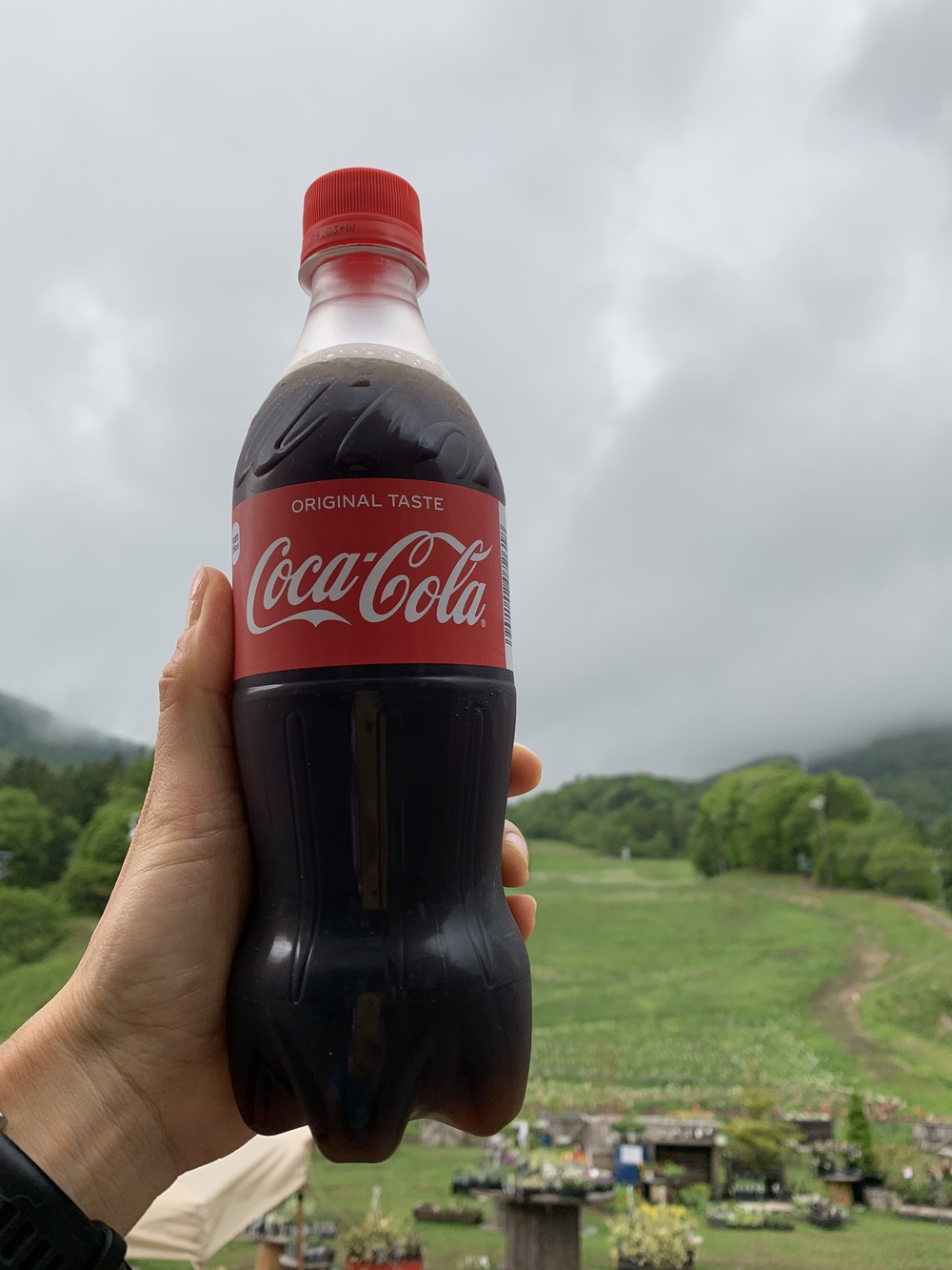 水上トレイルラン試走の写真9