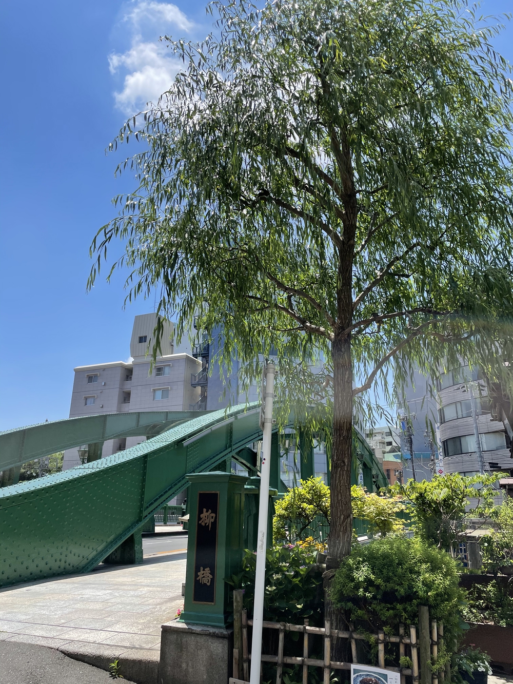 歌川広重と共にRUN 両国の写真4