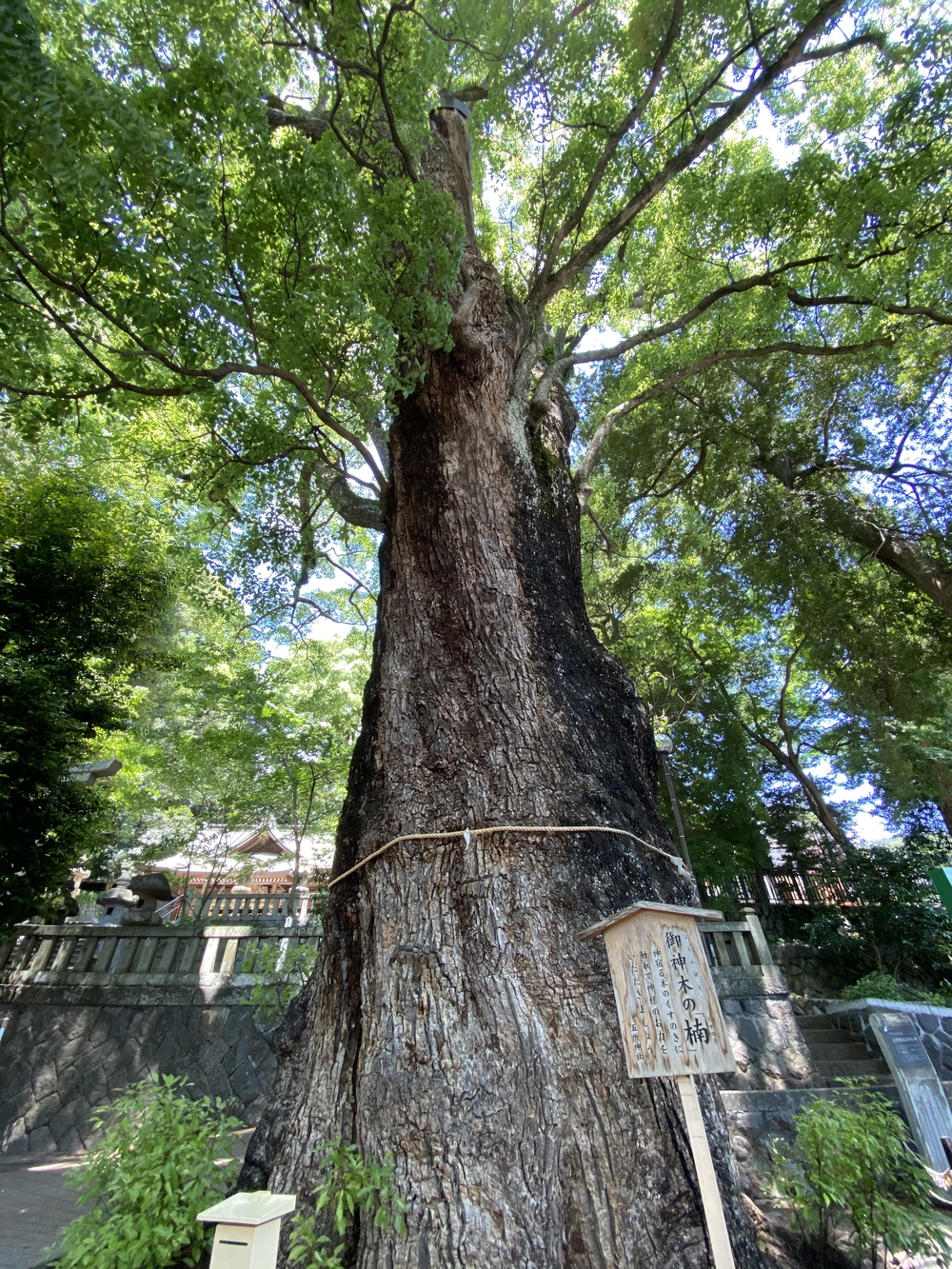滝と温泉と千歳川ランの写真7