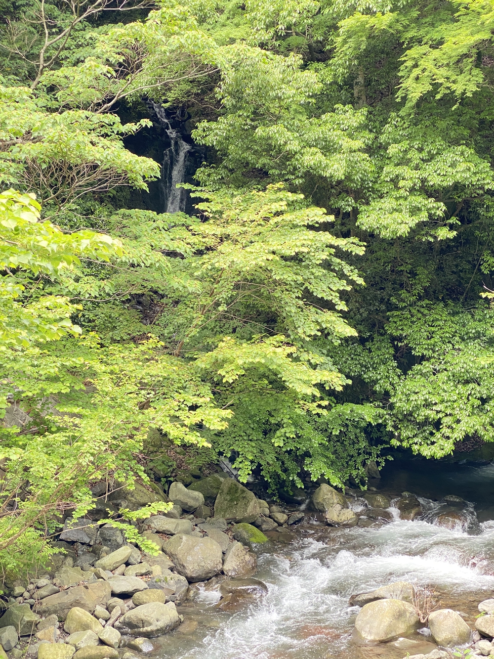 滝と温泉と千歳川ランの写真9