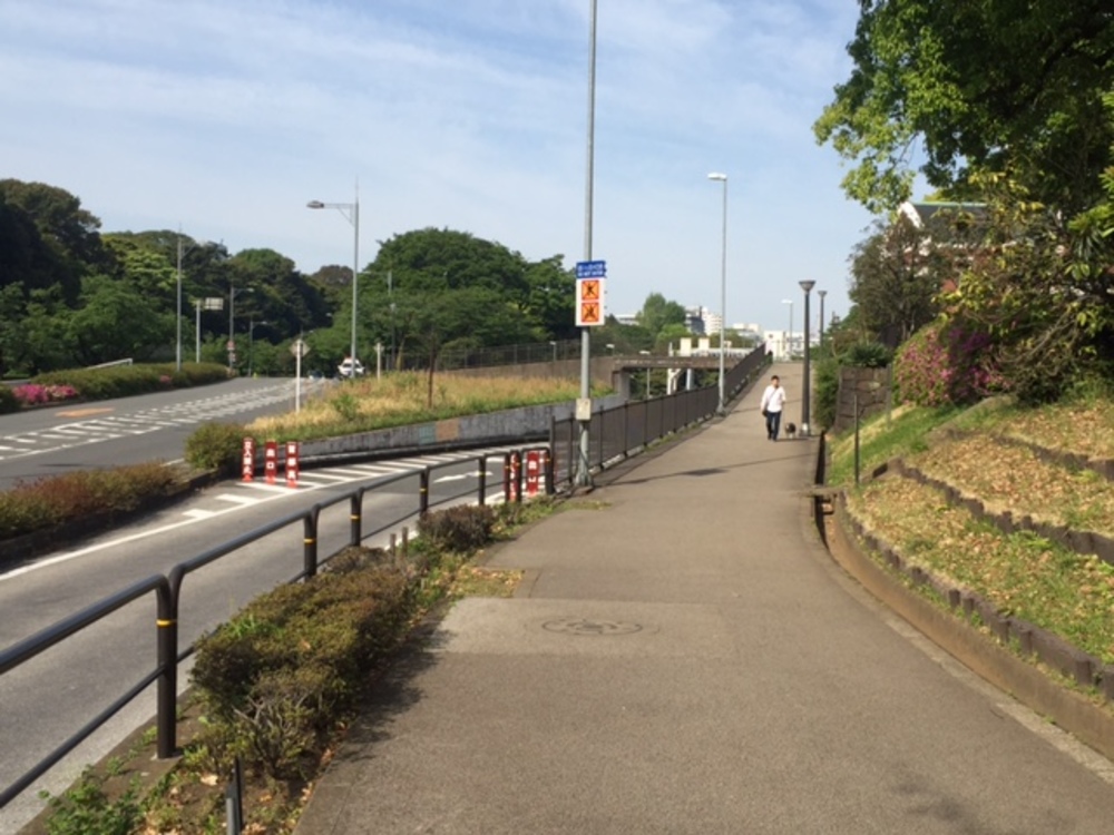 皇居コースでもクロカンの写真3