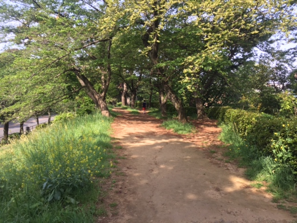 皇居コースでもクロカンの写真5