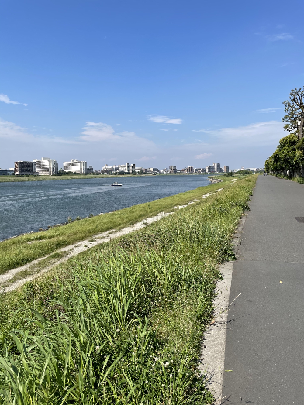 歌川広重と共にRUN 川崎大師の写真7