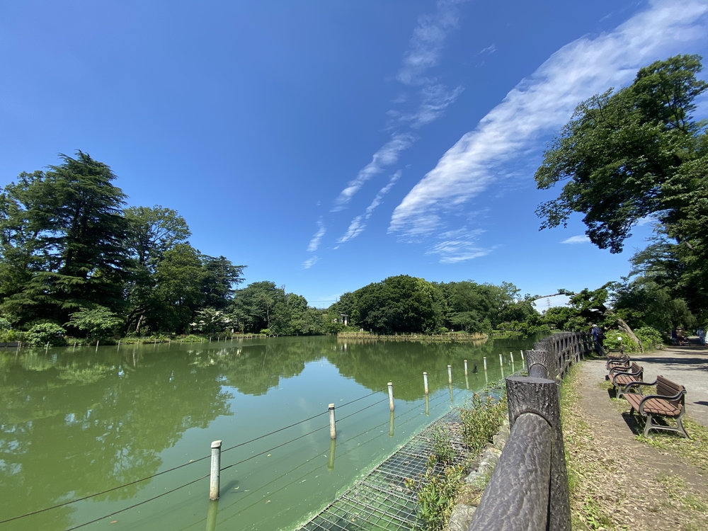 荻窪発着善福寺川-神田川周回21kmの写真3