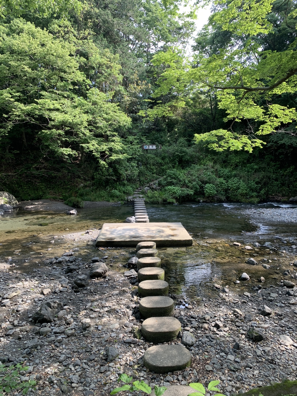 【飯能駅発着】飯能五低名山トレイルの写真5