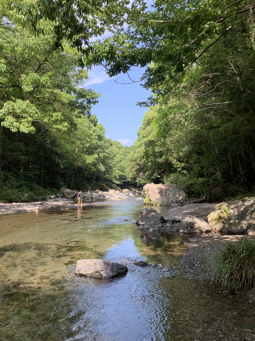 【飯能駅発着】飯能五低名山トレイルの写真6