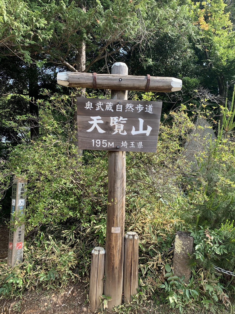 【飯能駅発着】飯能五低名山トレイルの写真10