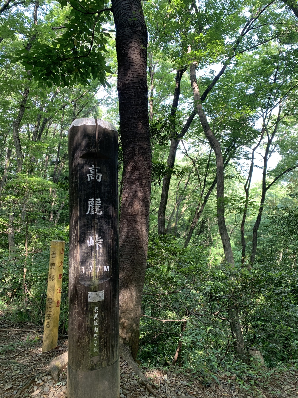 【飯能駅発着】飯能五低名山トレイルの写真11