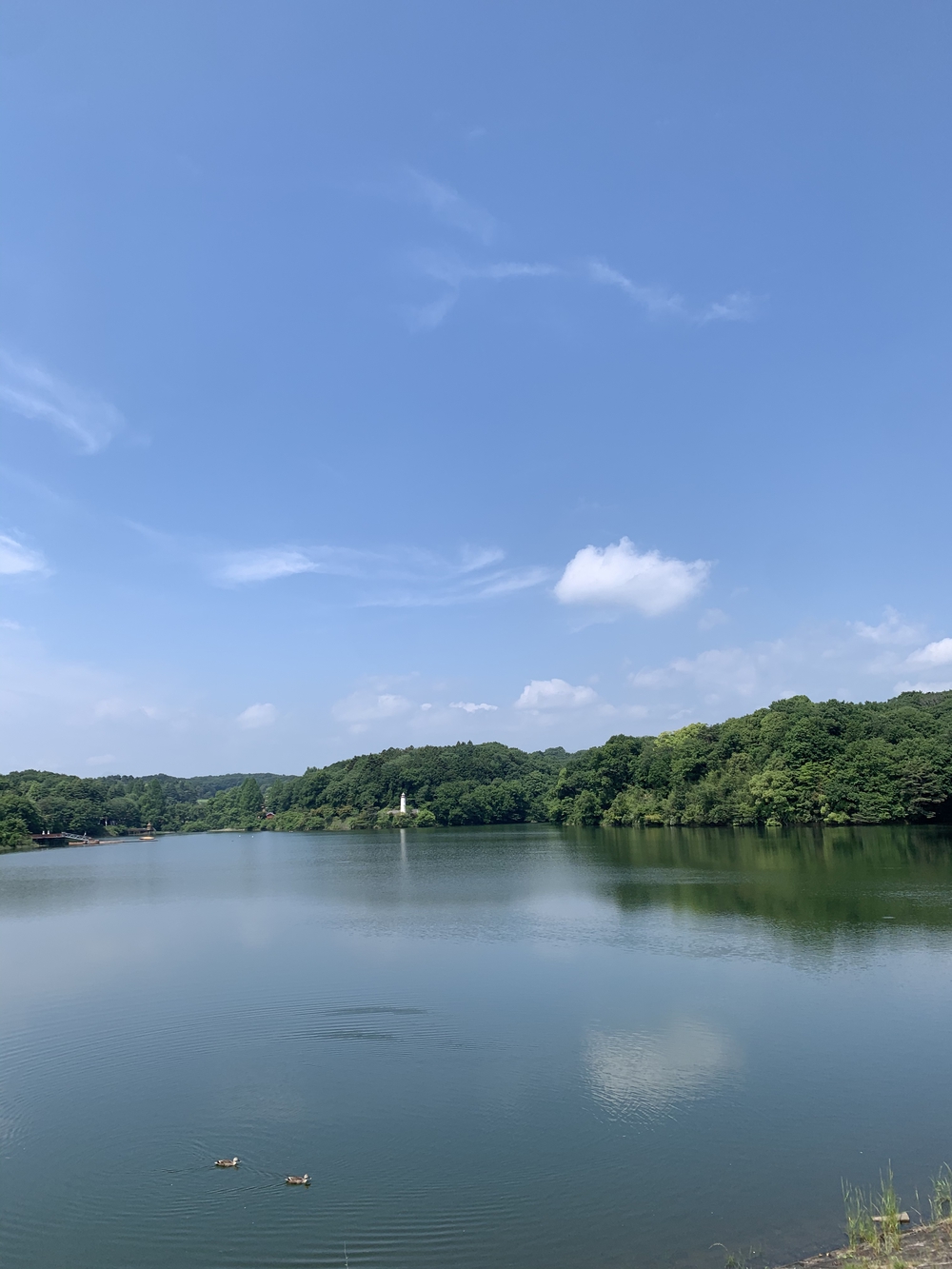【飯能駅発着】飯能五低名山トレイルの写真13