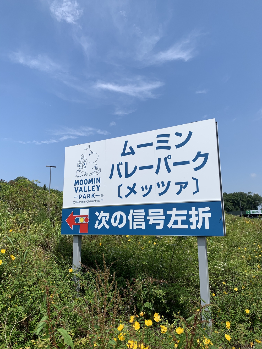 【飯能駅発着】飯能五低名山トレイルの写真14
