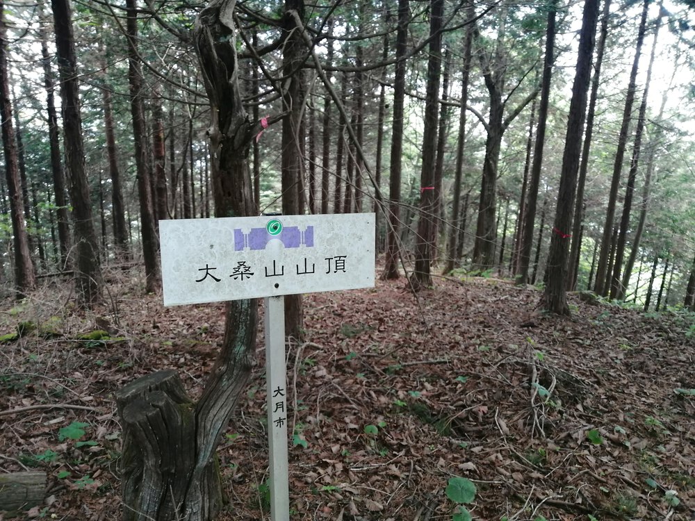 【CenterLineTrails/JR中央線沿い】Otsuki4PeaksRound30Kトレランコースを紹介！の写真4