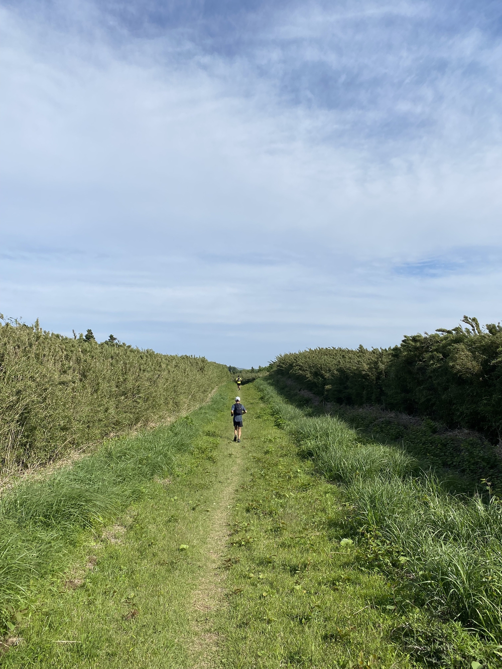 ガイリーン2021の写真6