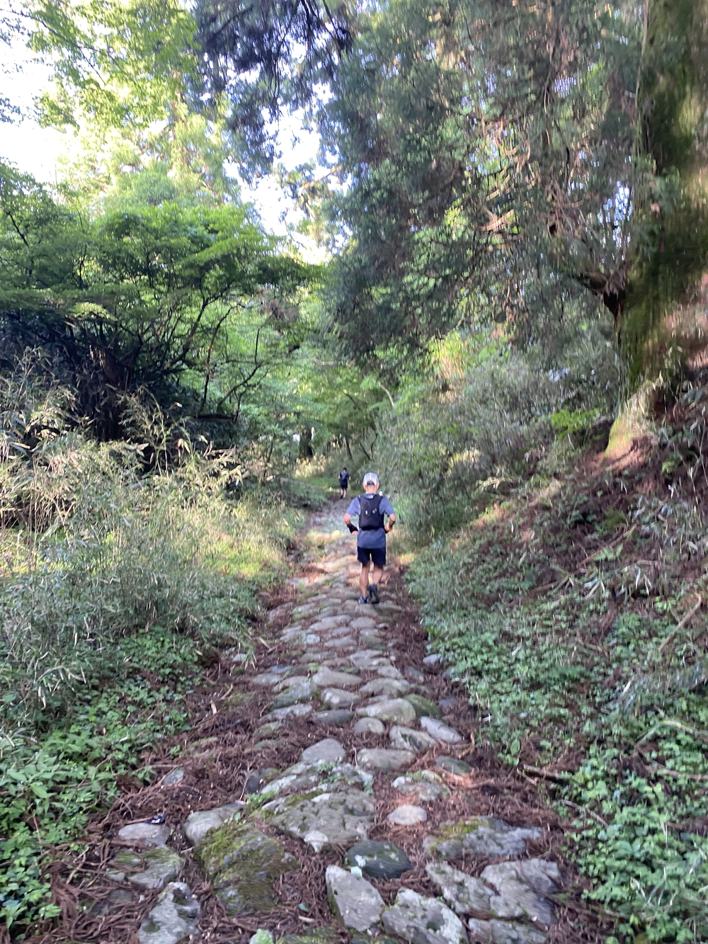 ガイリーン2021の写真7