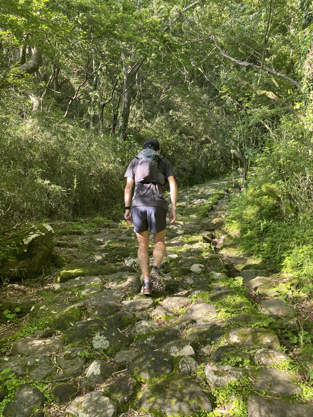 ガイリーン2021の写真8