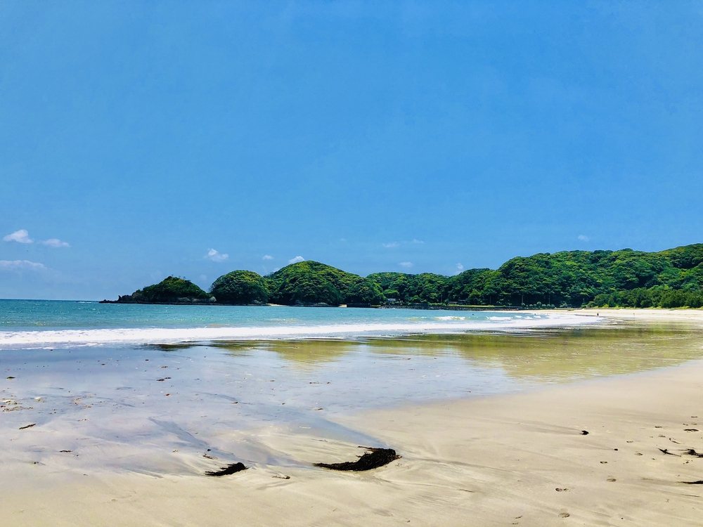 南伊豆の神秘の洞窟「龍宮窟」と奇岩群「タライ岬」を巡るトレランの写真5